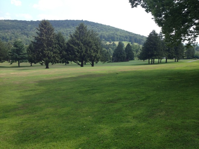 This is somewhat like the view out our front window, though our house would have been 30-40 higher in elevation.